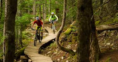 Mountainbiken Forststraßen