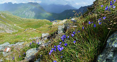 Blick auf die Fillmoor-Standschützenhütte am Karnischen Kamm