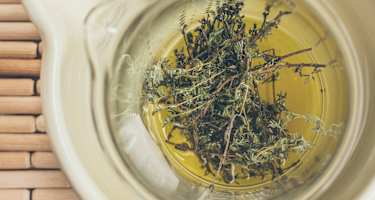 Thymian-Erkältungsbalsam