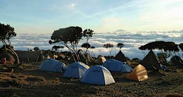 Kilimandscharo: Am Shira-Camp II