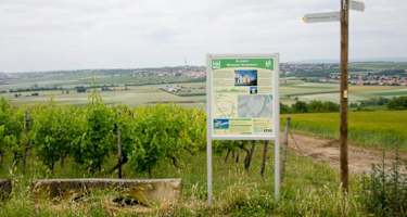 Informationsschild auf dem Kleinen Mainzer Höhenweg