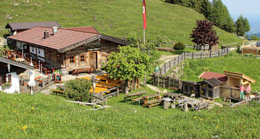 Die kinderfreundliche Kranzhorn Alm in Tirol