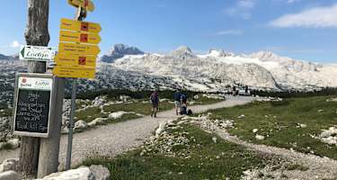 Am Krippenstein mit Blick auf den Dachsteingletscher.