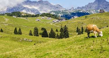 Berg-Know-How: Kuhl bleiben