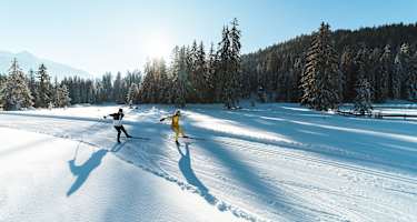 Langlaufen Wildmoos, Seefeld