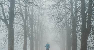 Läufer bei Nebel im Park