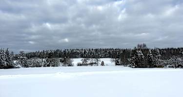 Loßburg Büchenbergspur - Büchenberg