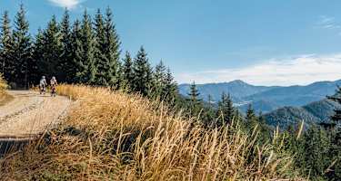 Auf und ab in den Ybbstaler Alpen