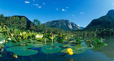 Der Lunzer See ist gerade bei hochsommerlichen Temperaturen einen Ausflug wert