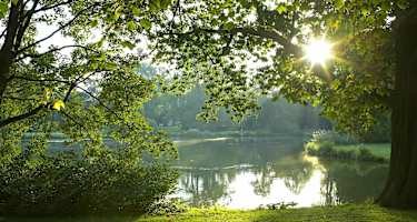 Morgensonne überm Maschteich im Maschpark in Hannover