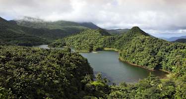 Dominica Wandern Trails