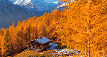 Bergwald Heiligenblut