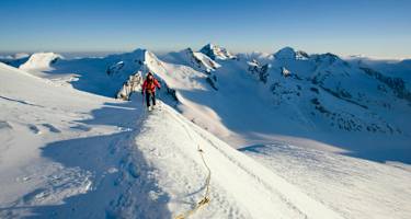 Skihochtour im Aufstieg mit Seil am Aletschgletscher, Wallis, Schweiz