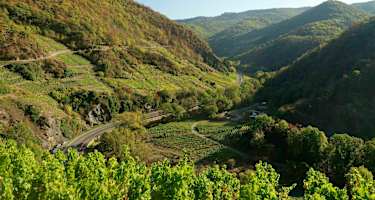 Stadtnahes Wandern im Ahrtal bei Mayschoss in unmittelbarer Nähe von Köln