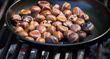 gebratene Kastanien selber machen