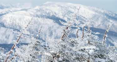 Wie eine Kugellager innerhalb der Schneedecke wirken die runden Graupelkörner