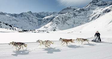 Manuela Petutschnig mit Hundeschlitten