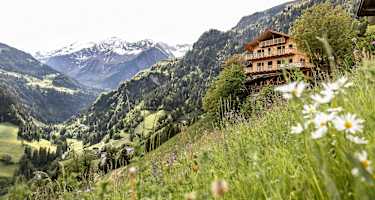 grüne Hänge mit Blumenwiesen, am Hang der Niedersteinhof und im Hintergrund verschneite Gipfel Südtirols