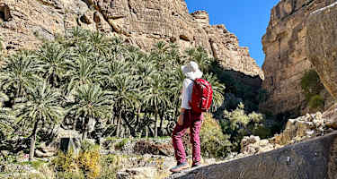 Terrassenfeld im Hadschar-Gebirge