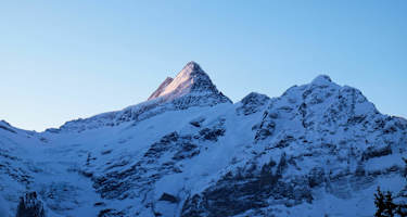 Grindelwald: Blick aufs Schreckhorn in den Berner Alpen