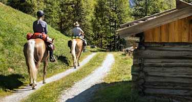 Gemütlich reitet man den Forstweg nach oben