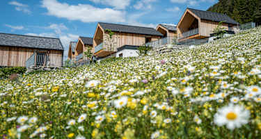 Blumenwiese mit Holzchalets am weissensee