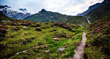 Saubere Berge: Großvenediger