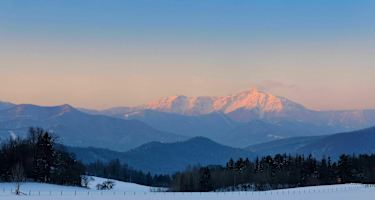 Rax-Schneeberg-Gruppe: Schneeberg in Niederösterreich