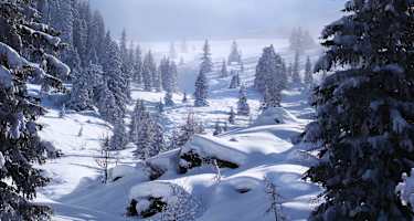 Kitzbüheler Alpen: Schneegrubenspitze in der Kelchsau