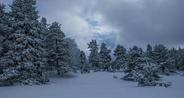 Winterwandern auf der Schwäbischen Alb