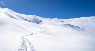 Spur durch die winterliche Landschaft