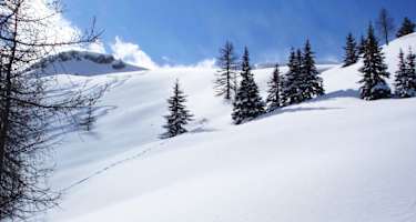 Salzburger Land: Gelände bei Kleinarl