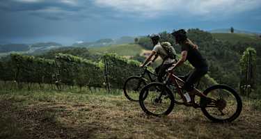 Wer beim Radfahren die sportliche Herausforderung sucht, kommt in der Südsteiermark auf seine Kosten.