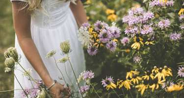 Wilde Wiesenkräuter und ihre heilende Wirkung