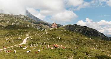Vegane und vegetarische Hütten - Franz Fischer Hütte