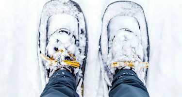 Spaßmacher im Winter: Schneeschuhe