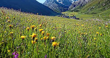 Davos Klosters in Graubünden