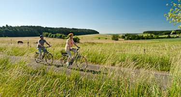Westerwaldschleife, Hochfläche Hilgenroth