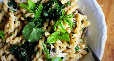 Selbstgemacht: Wildkräuter-Pesto