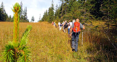 Wildschönau: Moorwanderung in Tirol