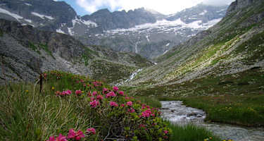 Ruhegebiet Hochgebirgs-Naturpark Zillertaler Alpen