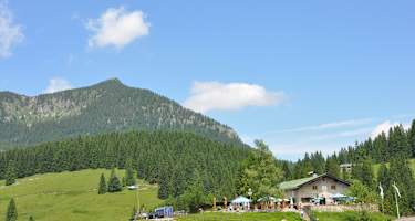 Die Albert-Link-Hütte iegt auf 1.053 m Seehöhe auf der weitläufigen Valepper Alm, gesäumt von sanft ansteigenden, bewaldeten Bergflanken.