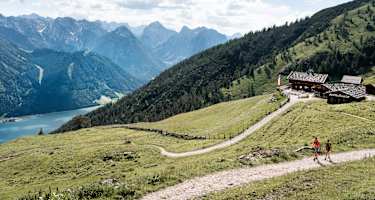 Der Weg zur Dalfaz Alm