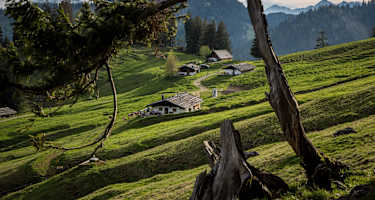 Die Haaralm besteht aus mehreren Almhütten.