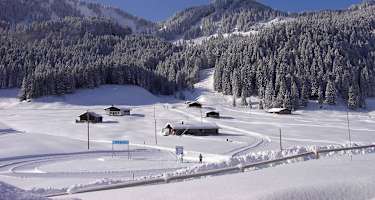 Die Albert-Link-Hütte iegt auf 1.053 m Seehöhe auf der weitläufigen Valepper Alm, gesäumt von sanft ansteigenden, bewaldeten Bergflanken.