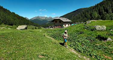 Rifugio malga Caldenave