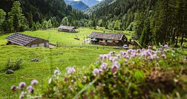 Die Schwarzachen Almen
