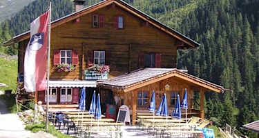 Die Steineralm im Sommer