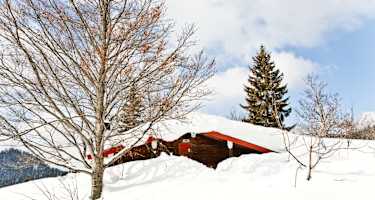 Die Winkelmoosalm-Hütte steht, wie auch die Winklmooshütte, auf der Winkelmoosalm, idyllisch in den Chiemgauer Bergen an der deutsch-österreichischen Grenze in Bayern. 