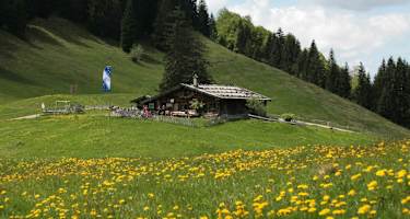Die Alpe Gschwenderberg im Frühling